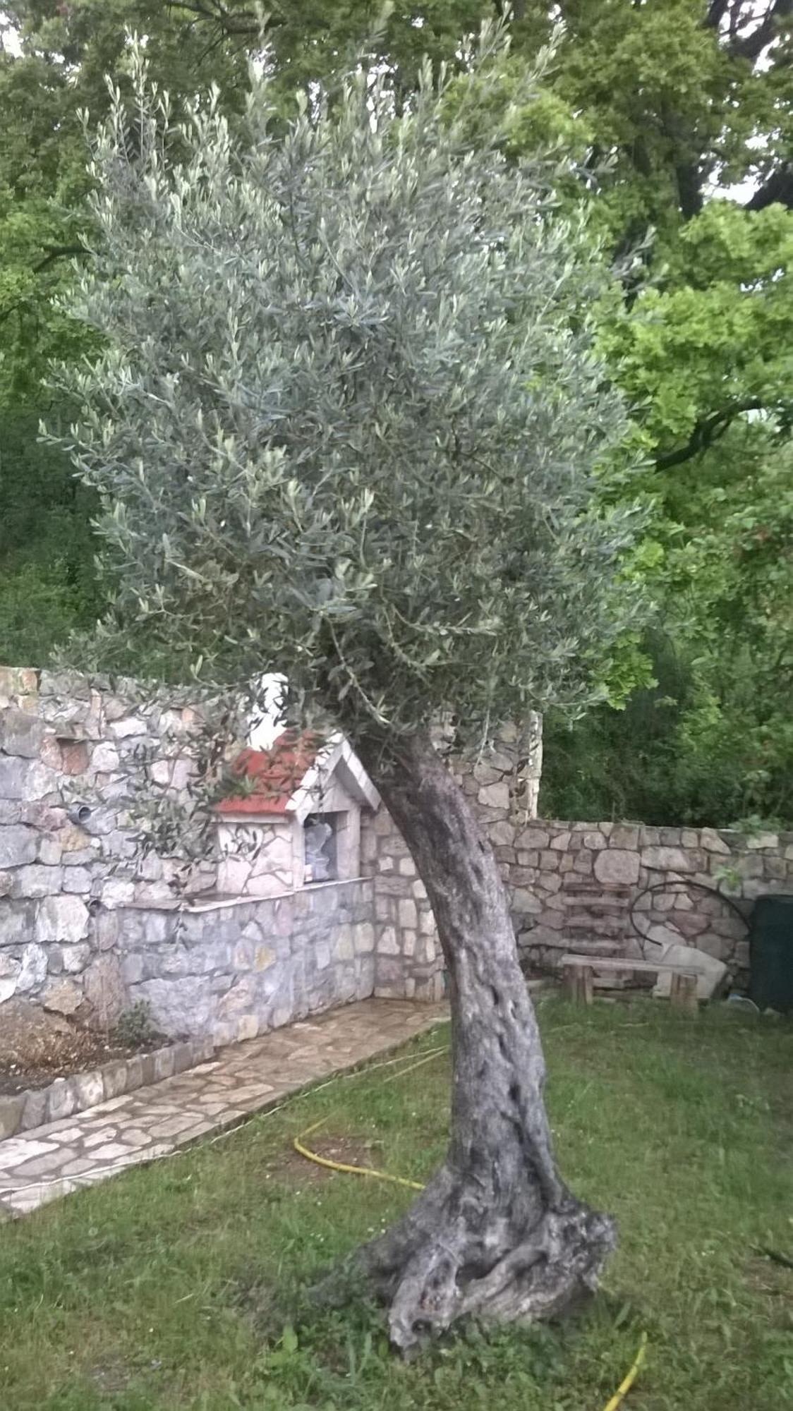 House Stijepovic Villa Petrovac Oda fotoğraf